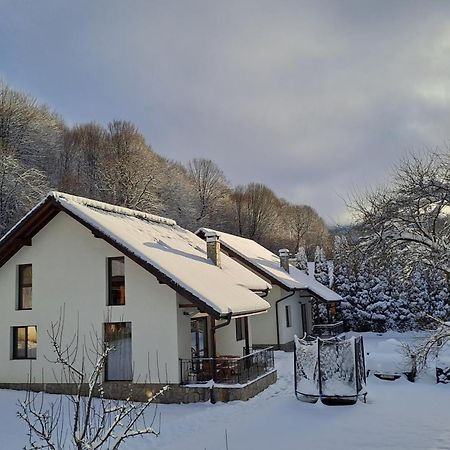 Тиловите Къщи Ribaritsa Exterior foto